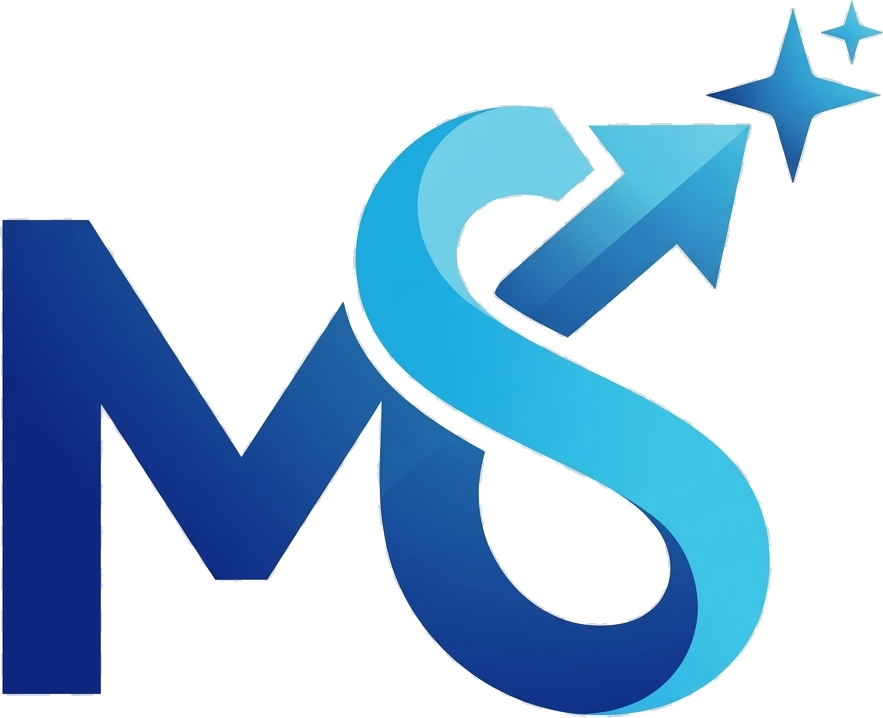 MS Biz Studio